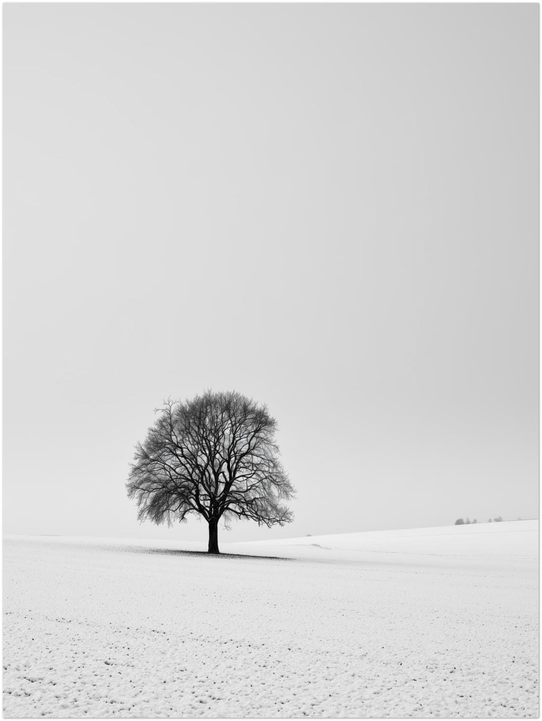 Einsamer Baum im Schnee Poster – Ohne Rahmen – Produktfoto