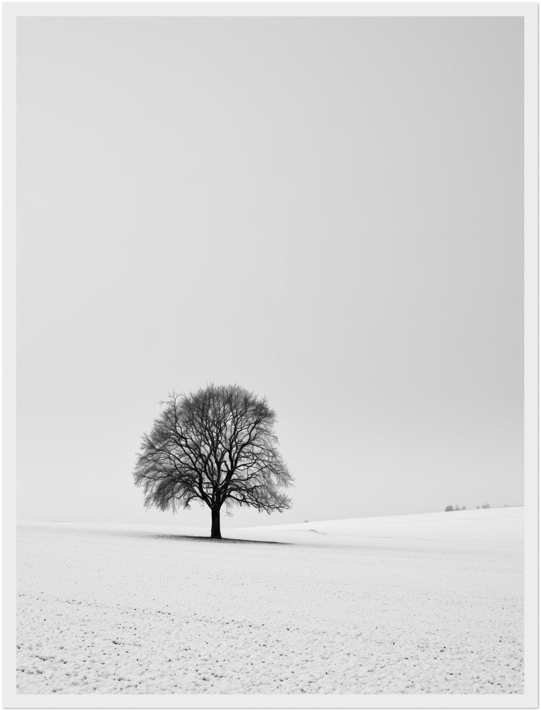 Einsamer Baum im Schnee Poster – Weißer Rahmen – Produktfoto