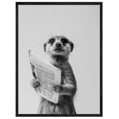 Erdmännchen mit Zeitung Leinwandbild