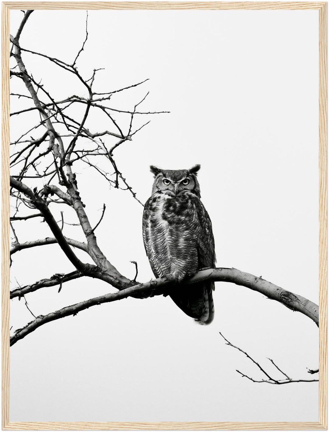 Eule auf kahlem Ast Poster – Holz natur Rahmen – Produktfoto