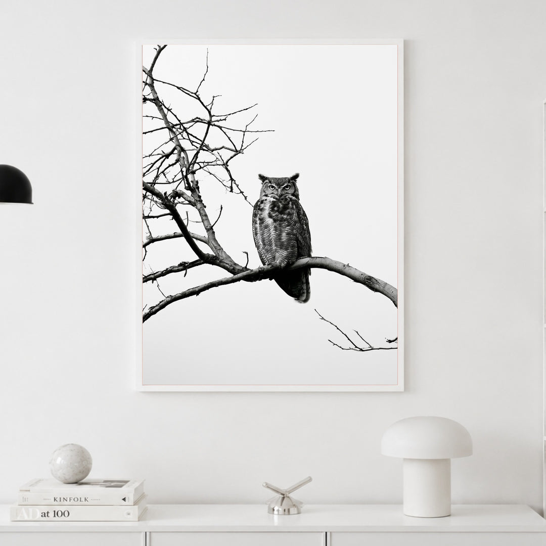Eule auf kahlem Ast Poster – Weißer Rahmen – Produktfoto