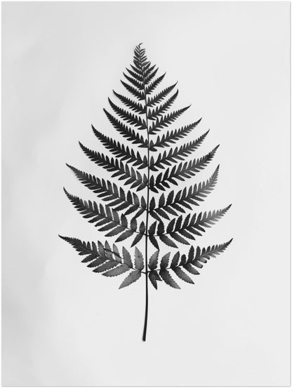 Farnblatt Silhouette Leinwandbild