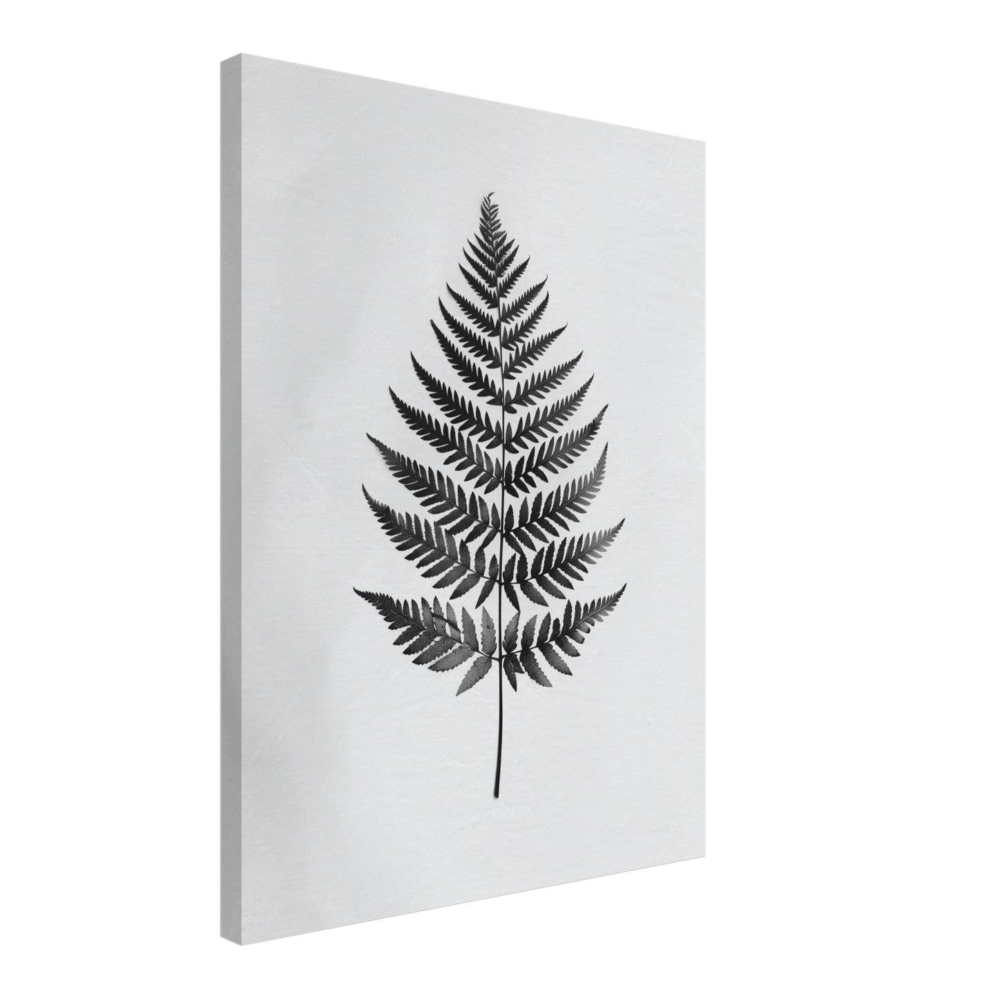 Farnblatt Silhouette Leinwandbild