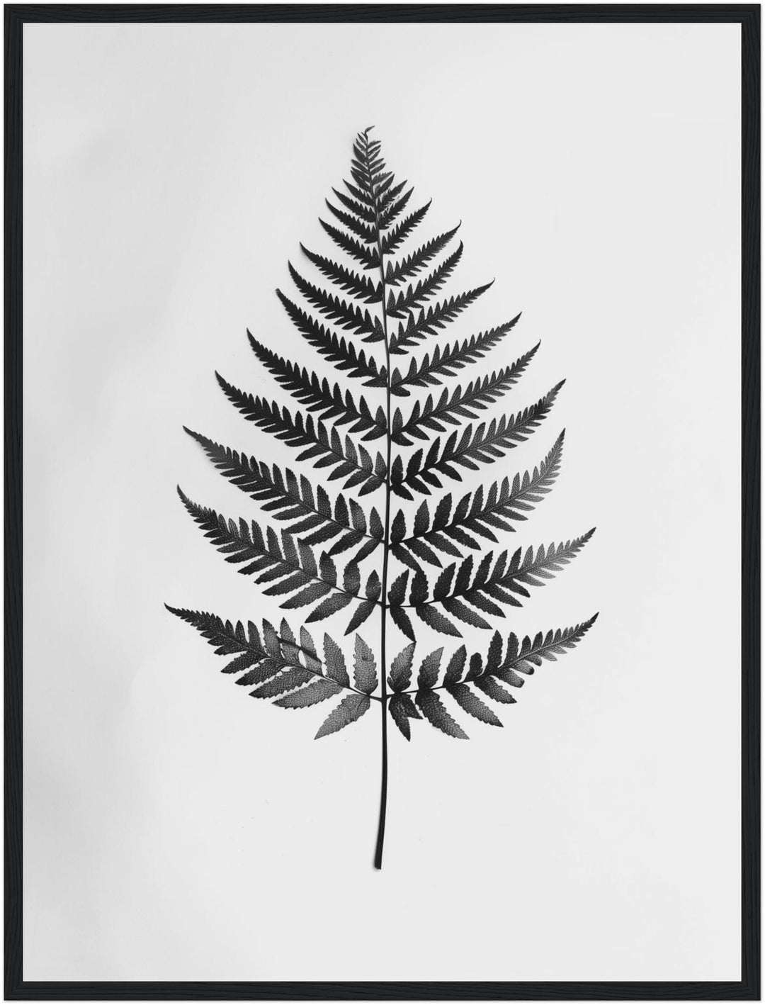 Farnblatt Silhouette Poster abstrakt – mattes Kunstdruck-Papier – Ansicht 5