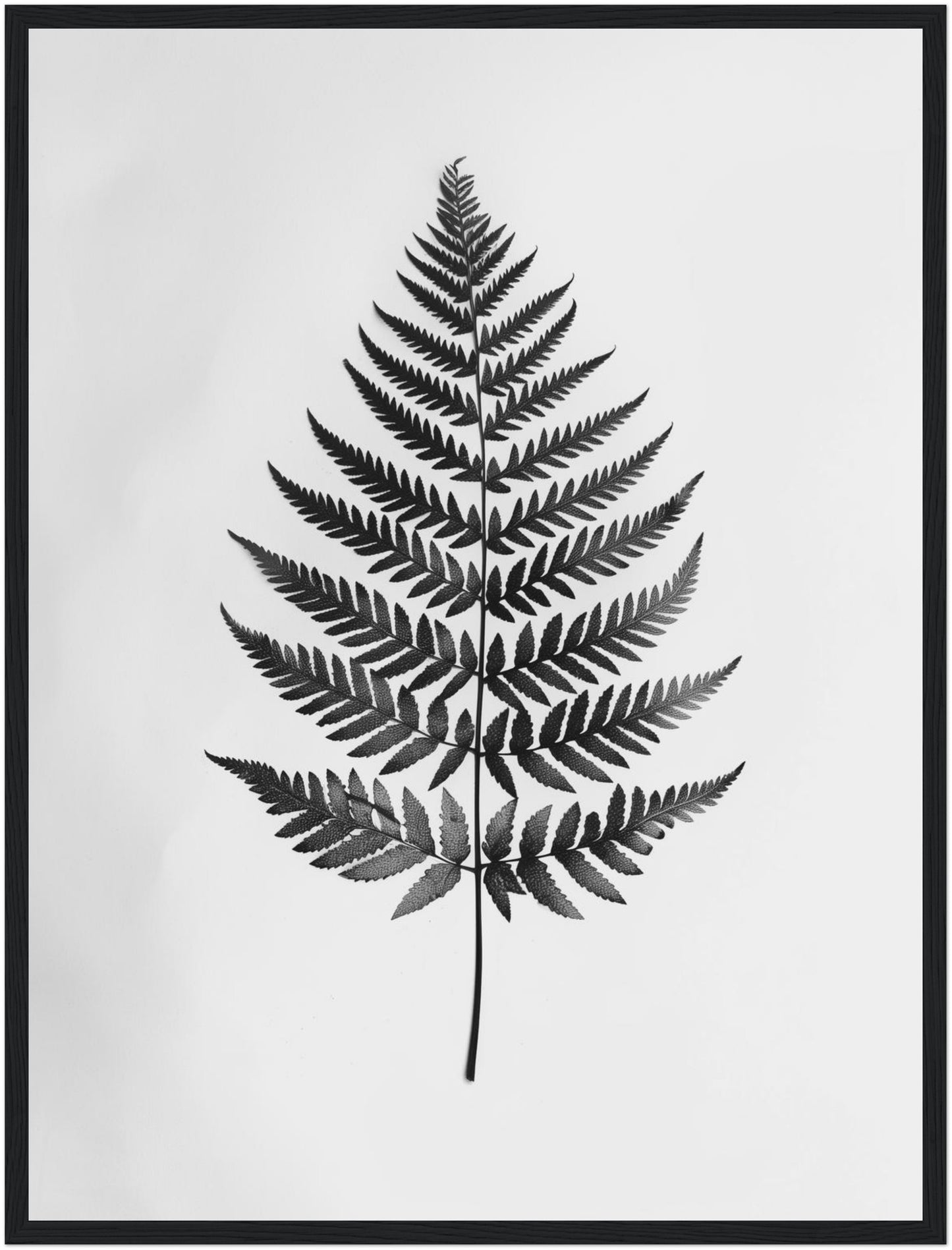 Farnblatt Silhouette Poster