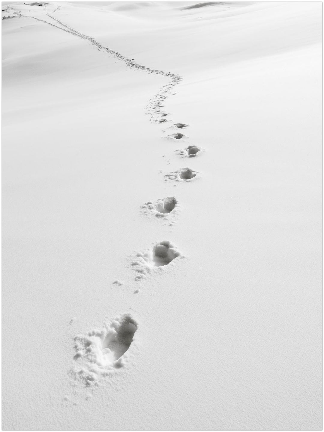 Spuren im Schnee Leinwandbild – Ohne Rahmen – Produktfoto