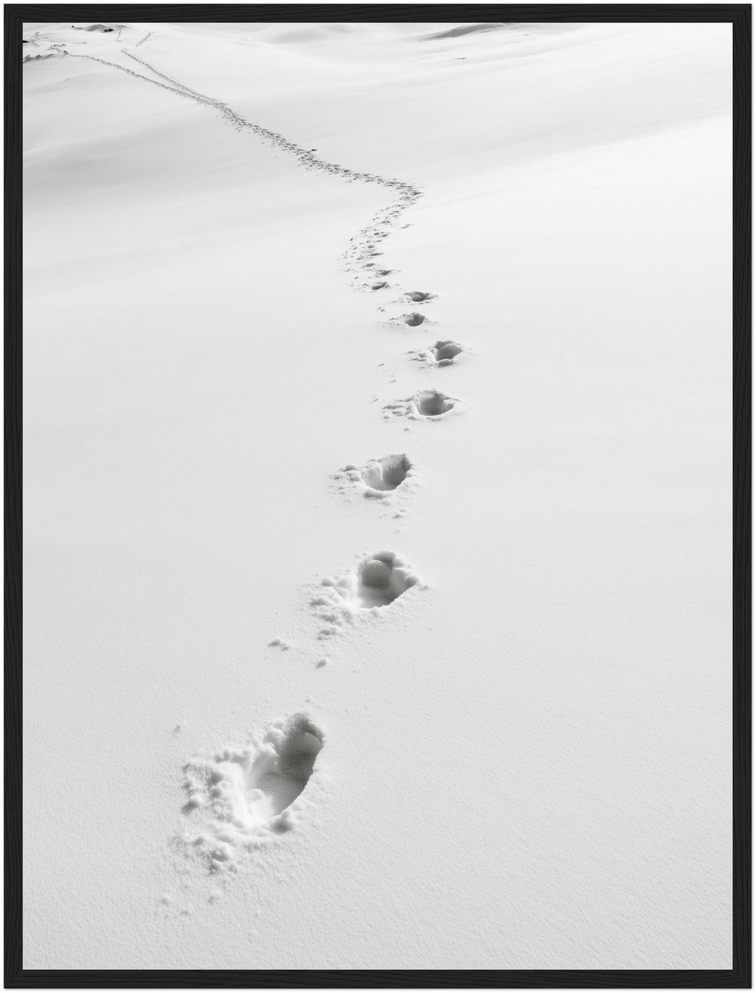 Spuren im Schnee Poster – Schwarzer Rahmen – Produktfoto