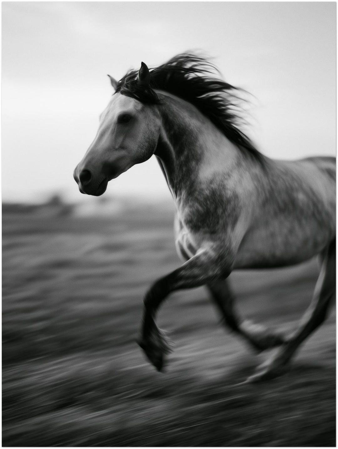 Galoppierendes Pferd im Wind Poster – Ohne Rahmen – Produktfoto