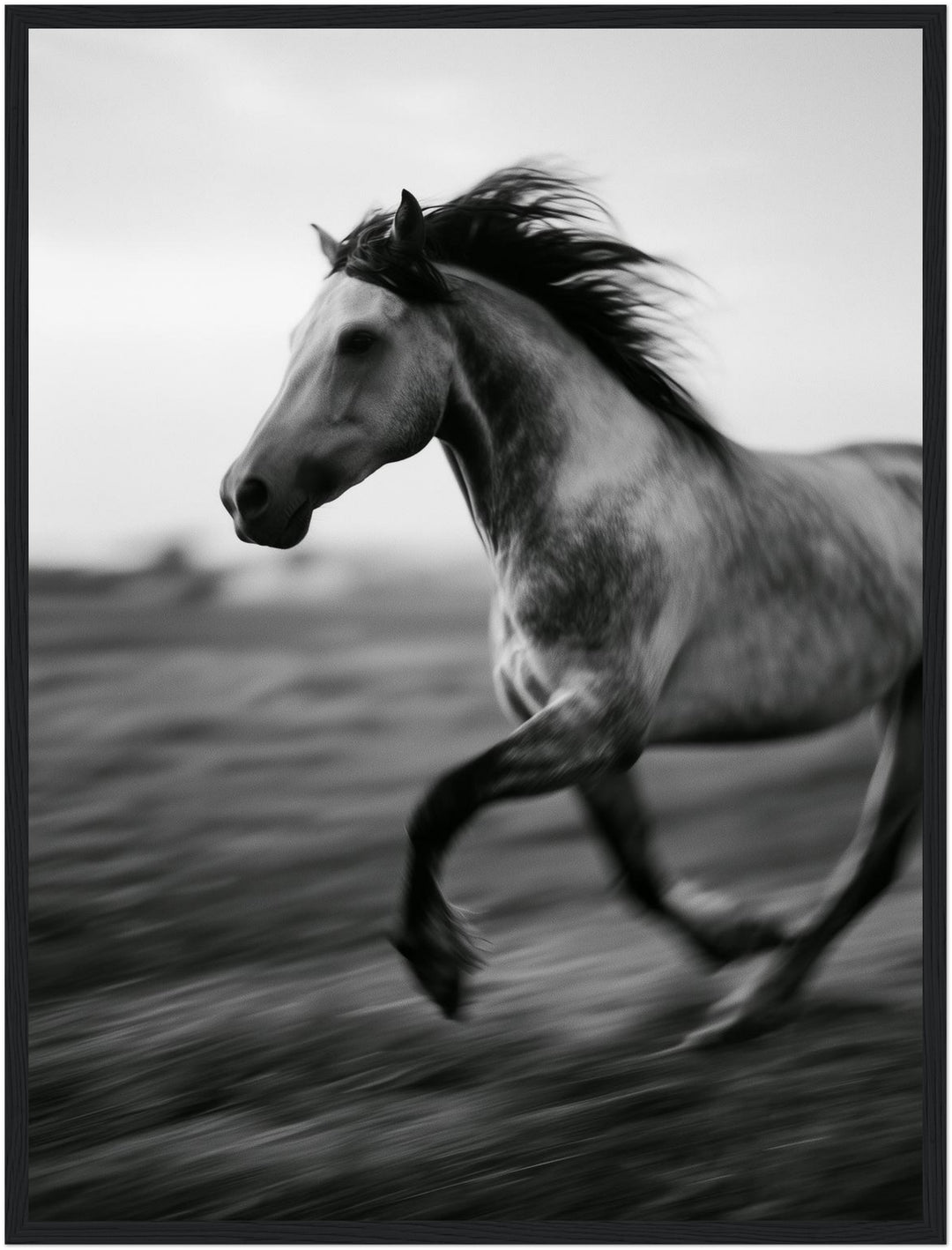 Galoppierendes Pferd im Wind Poster – Schwarzer Rahmen – Produktfoto