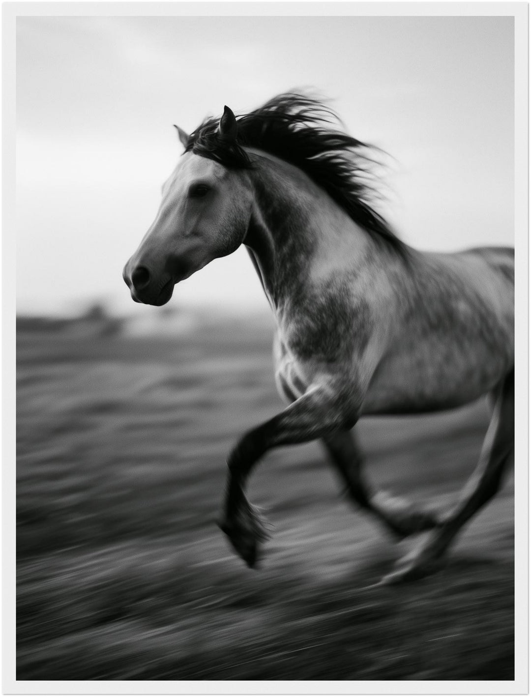 Galoppierendes Pferd im Wind Poster – Weißer Rahmen – Produktfoto
