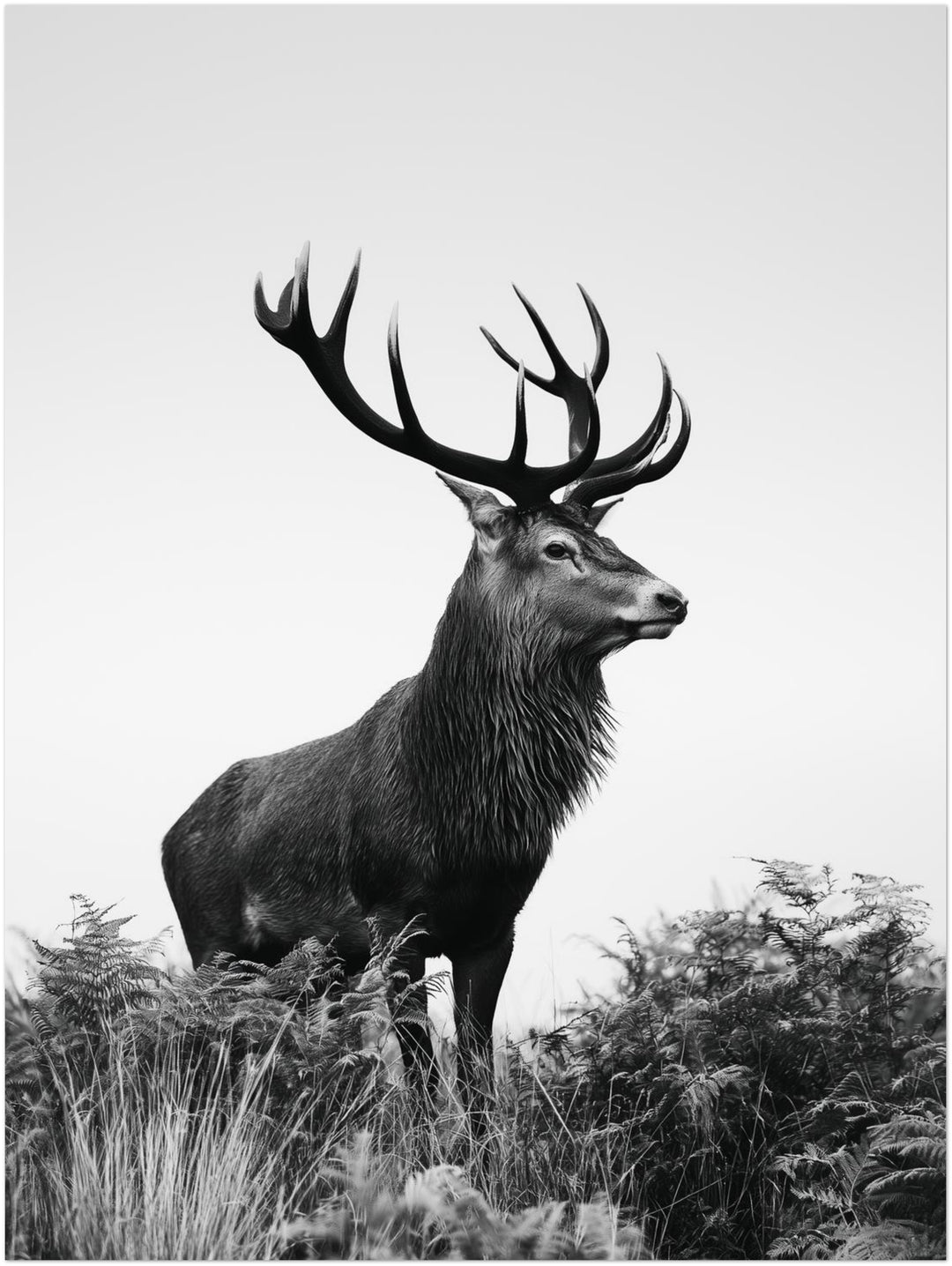 Hirsch im Nebellicht Poster – Ohne Rahmen – Produktfoto