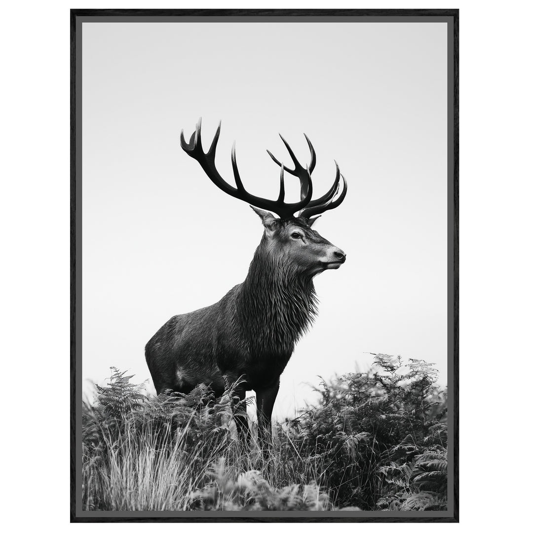 Hirsch im Nebellicht Leinwandbild – Leinwandbild