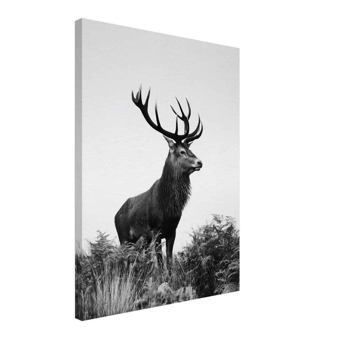 Hirsch im Nebellicht Leinwandbild – Schräge Ansicht – Produktfoto