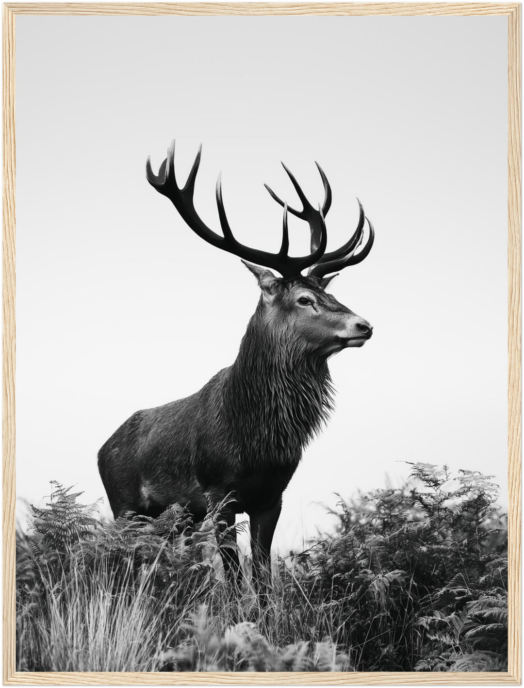 Hirsch im Nebellicht Poster – Holz natur Rahmen – Produktfoto