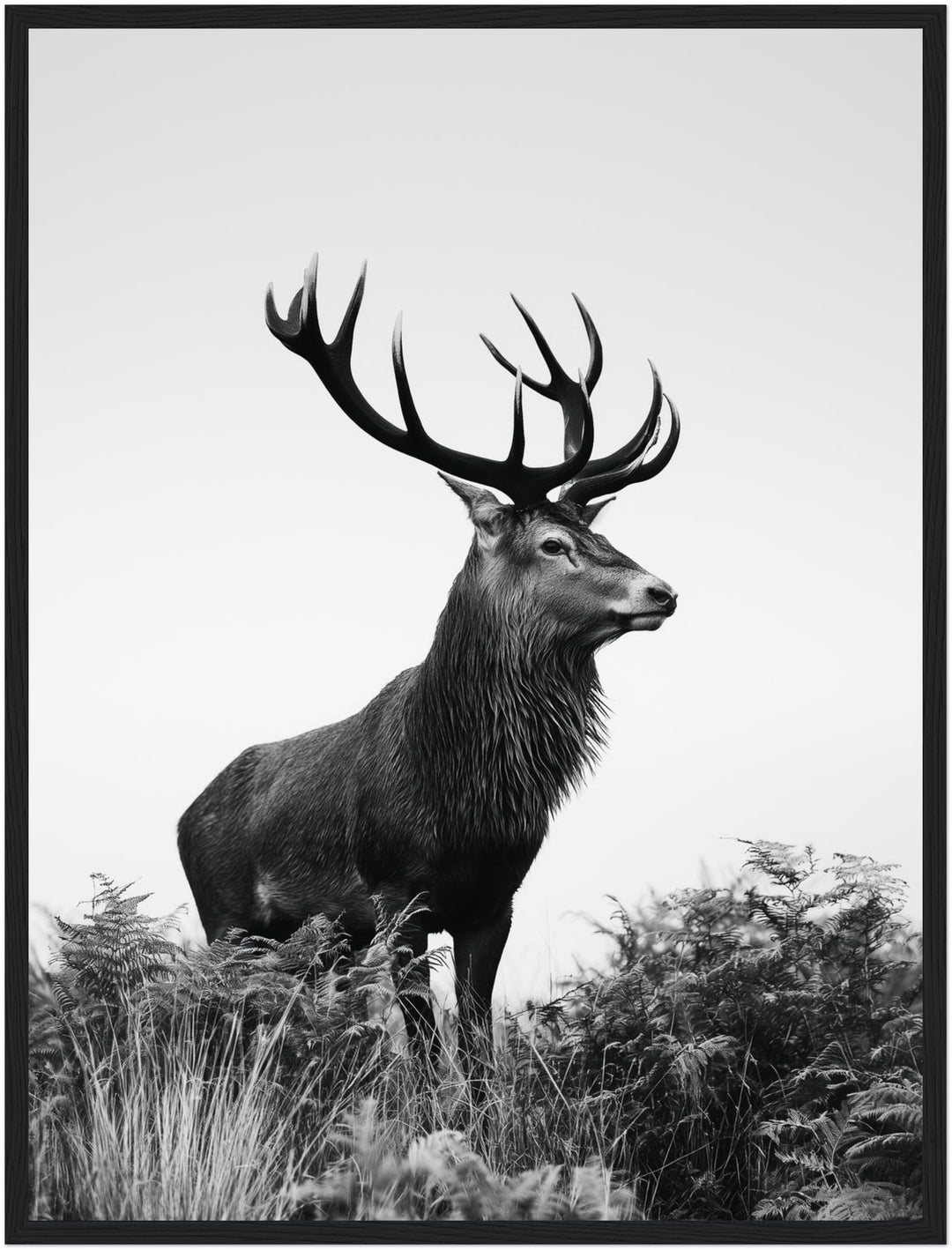 Hirsch im Nebellicht Poster – Schwarzer Rahmen – Produktfoto
