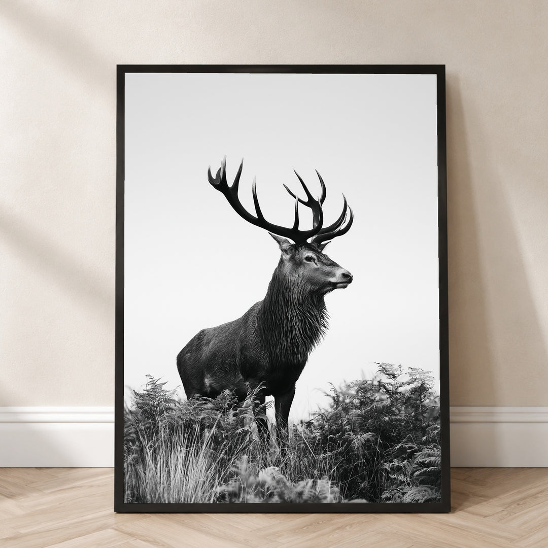 Hirsch im Nebellicht Poster – Schwarzer Rahmen – Produktfoto