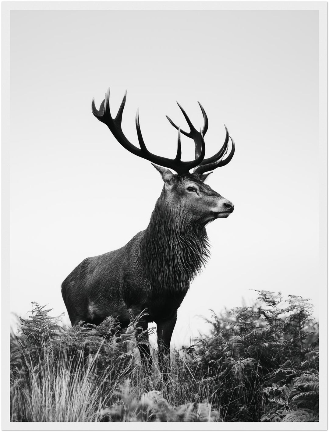 Hirsch im Nebellicht Poster – Weißer Rahmen – Produktfoto