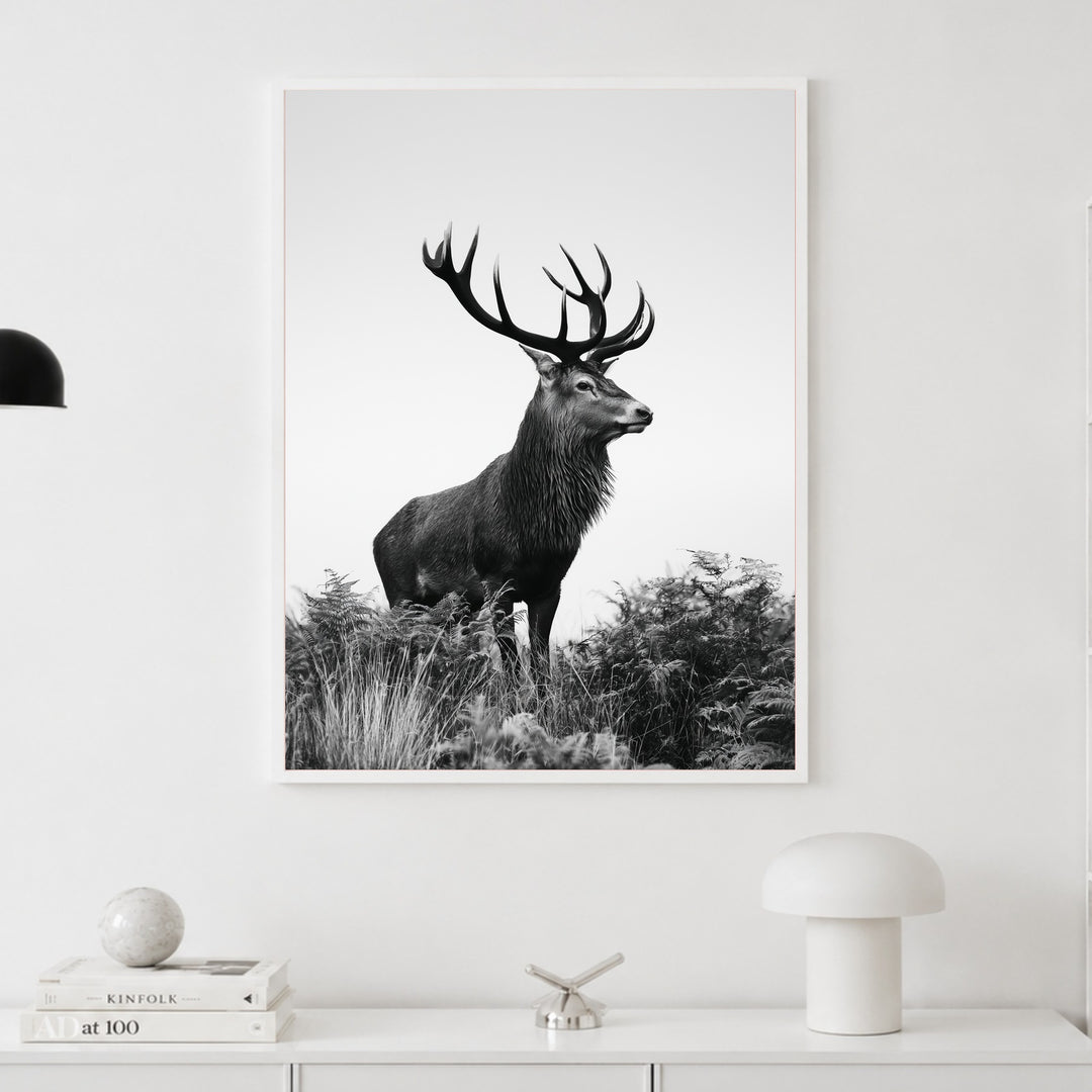 Hirsch im Nebellicht Poster – Weißer Rahmen – Produktfoto