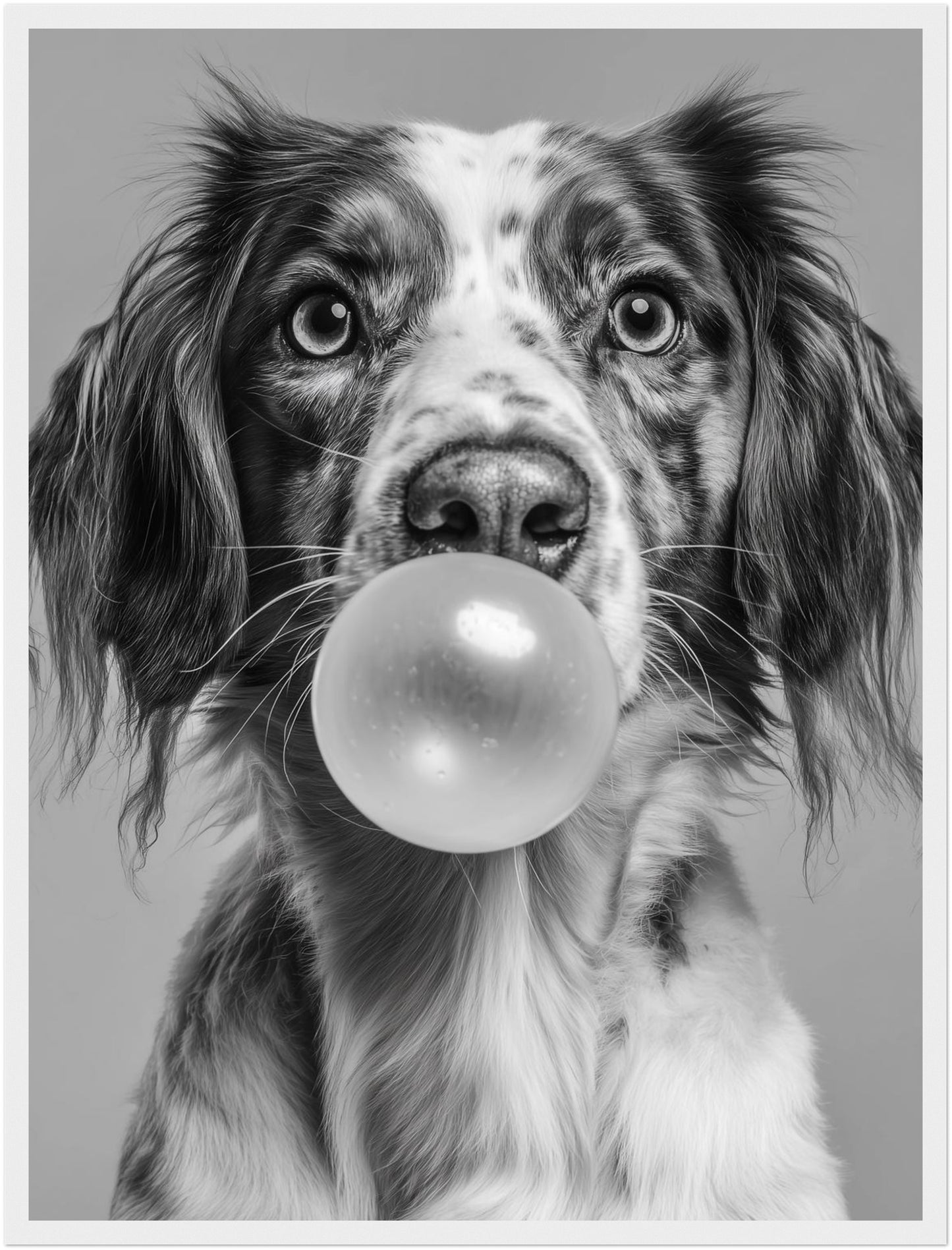 Hund mit Kaugummiblase Poster