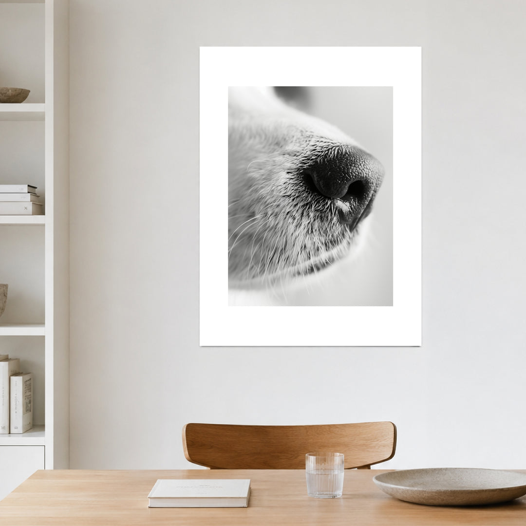 Hundeschnauze Nahaufnahme Poster – Ohne Rahmen – Produktfoto