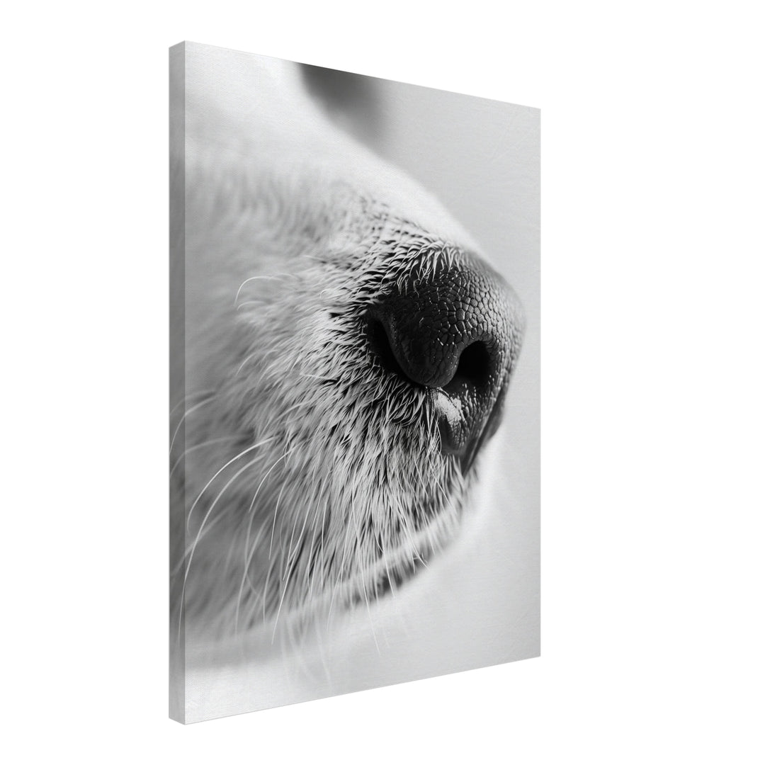 Hundeschnauze Nahaufnahme Leinwandbild – Schräge Ansicht – Produktfoto