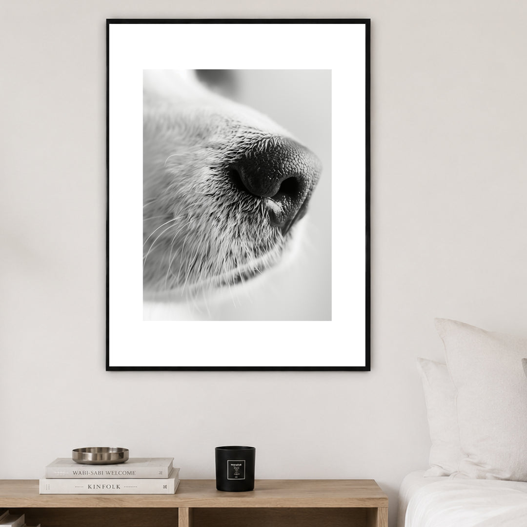 Hundeschnauze Nahaufnahme Poster – Schwarzer Rahmen – Produktfoto