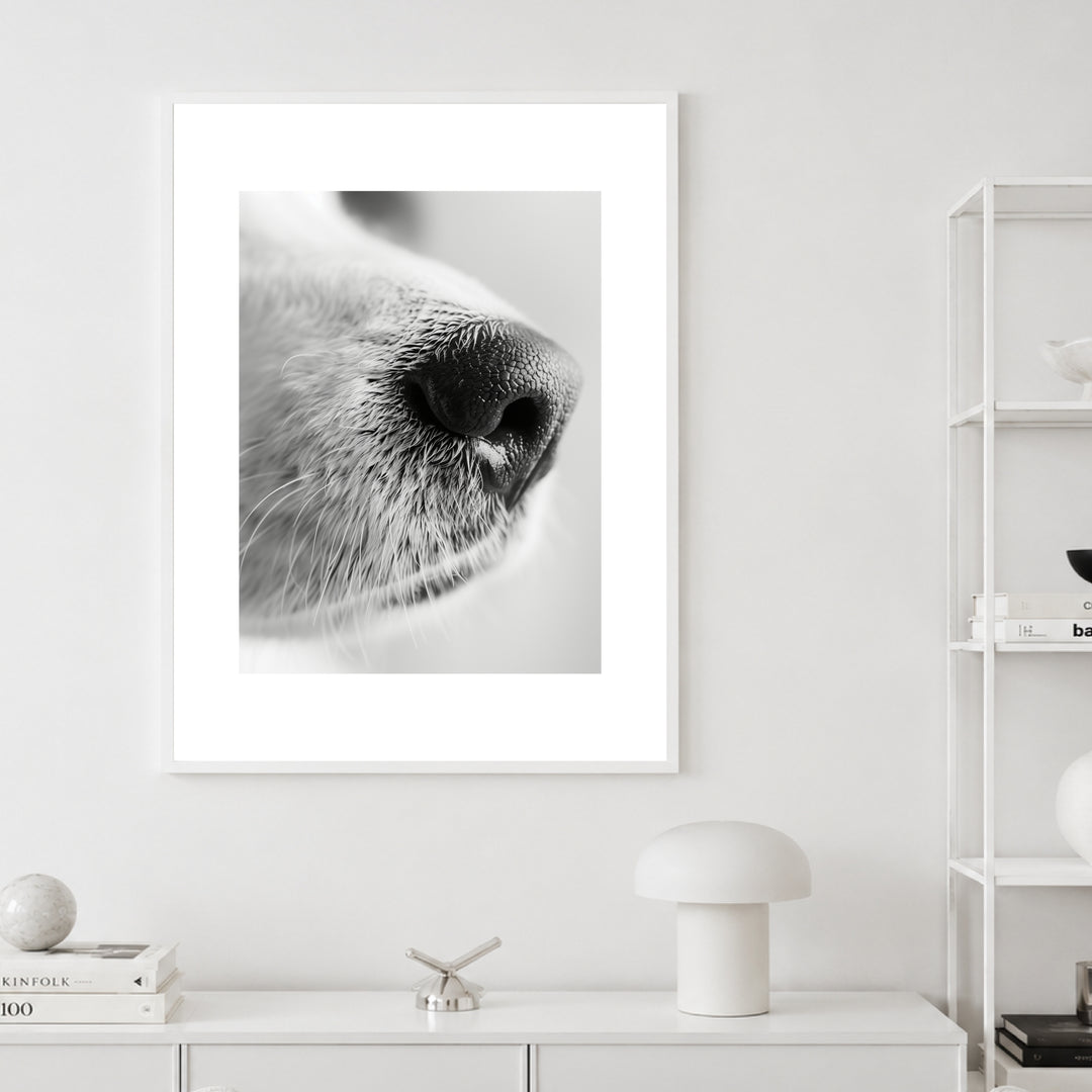 Hundeschnauze Nahaufnahme Poster – Weißer Rahmen – Produktfoto