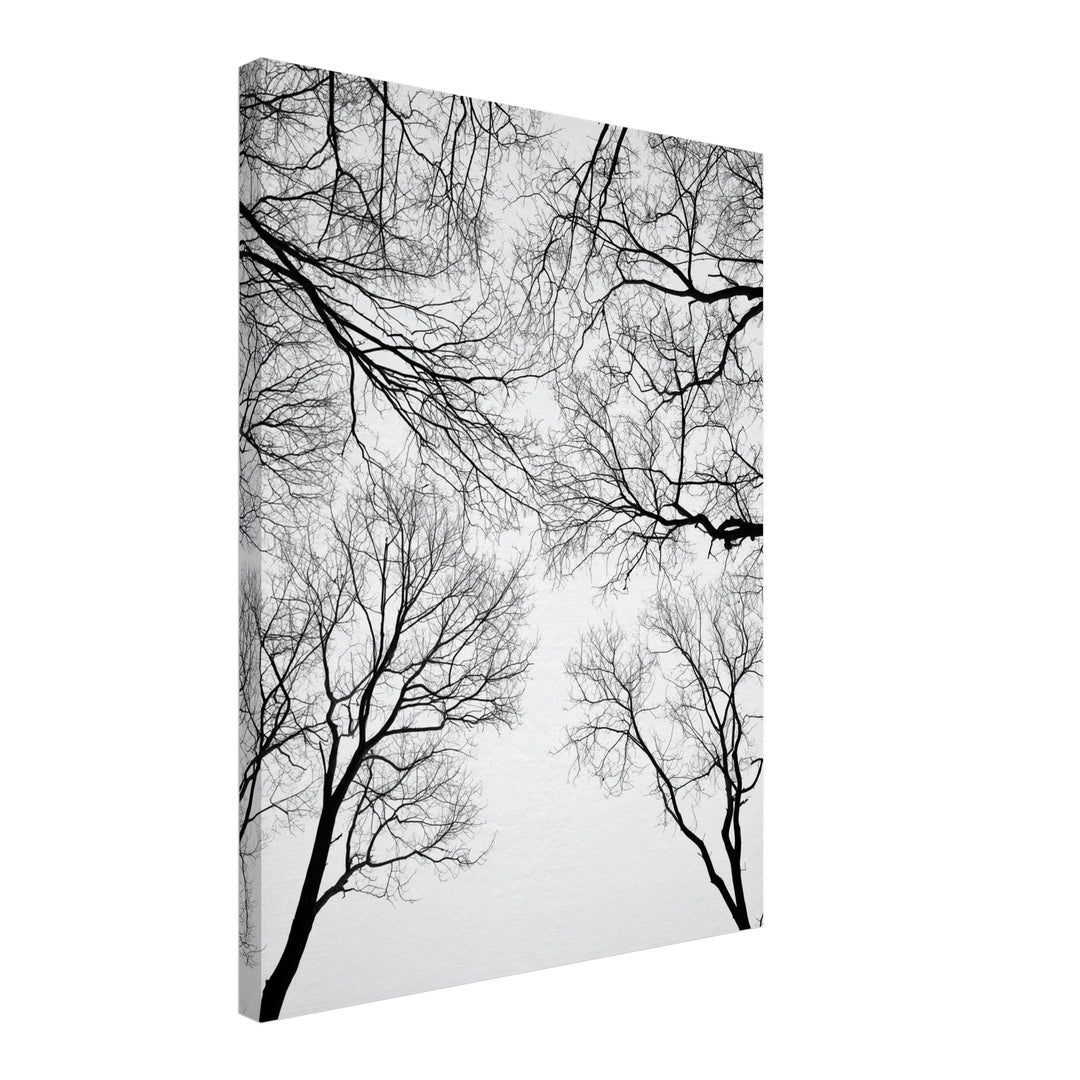 Kahle Äste im Winter Leinwandbild – Schräge Ansicht – Produktfoto