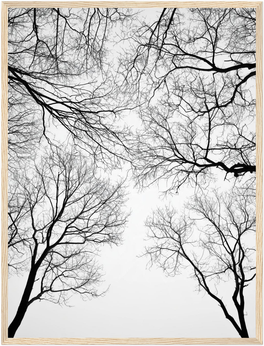 Kahle Äste im Winter Poster – Holz natur Rahmen – Produktfoto