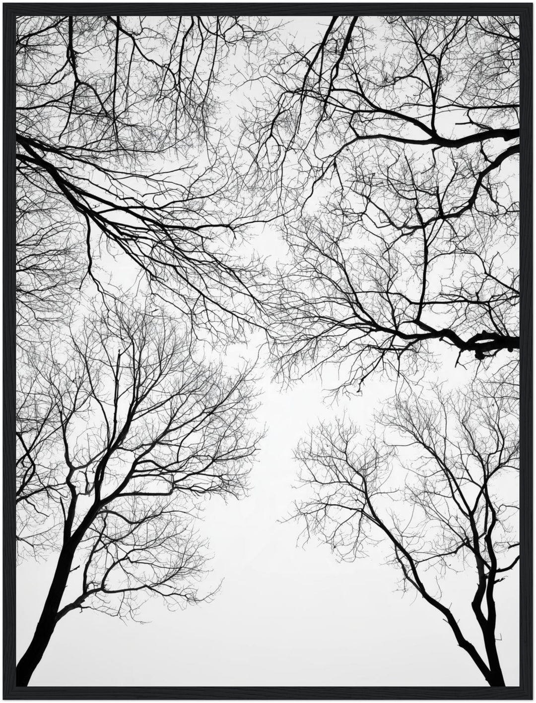 Kahle Äste im Winter Poster – Schwarzer Rahmen – Produktfoto
