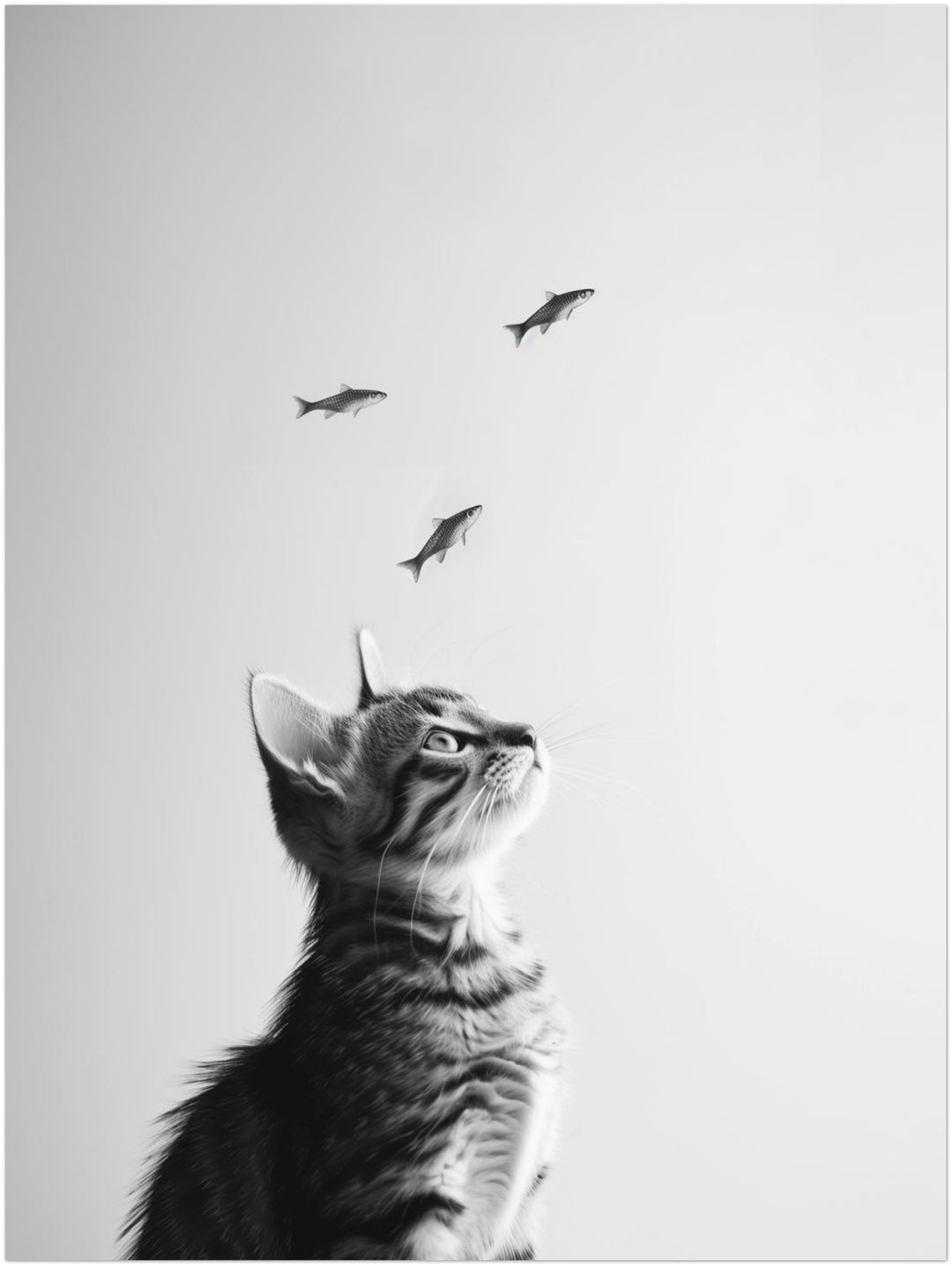 Katze Fische schwarz weiß – Wandkunst