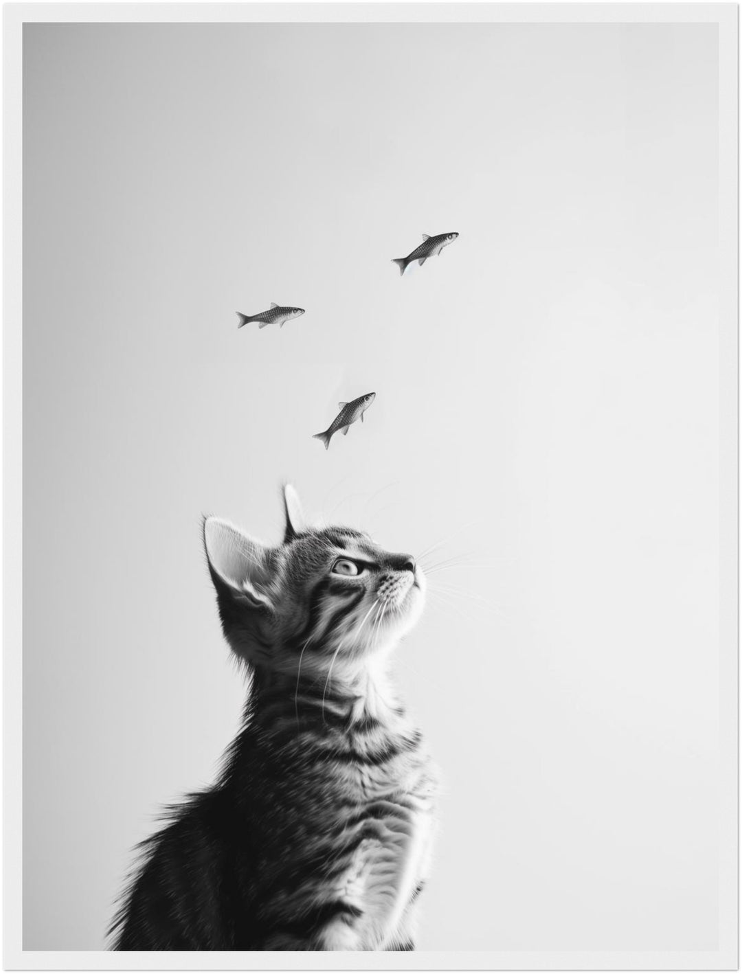 Katze Fische Poster schwarz weiß – mattes Kunstdruck-Papier – Ansicht 3