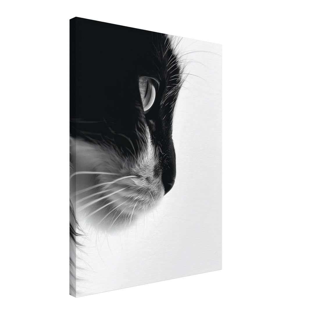 Katzenprofil Schwarz Weiss Leinwandbild – Schräge Ansicht – Produktfoto