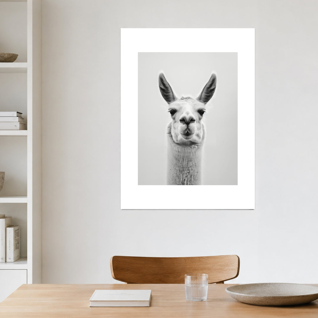 Lama Schwarzweiss Portrait Poster – Ohne Rahmen – Produktfoto