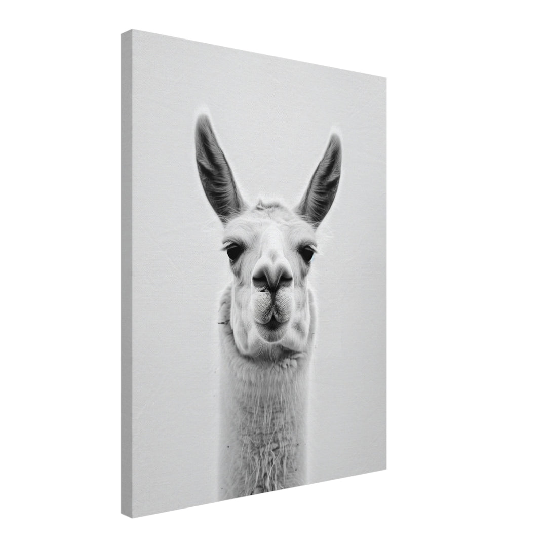 Lama Schwarzweiss Portrait Leinwandbild – Schräge Ansicht – Produktfoto