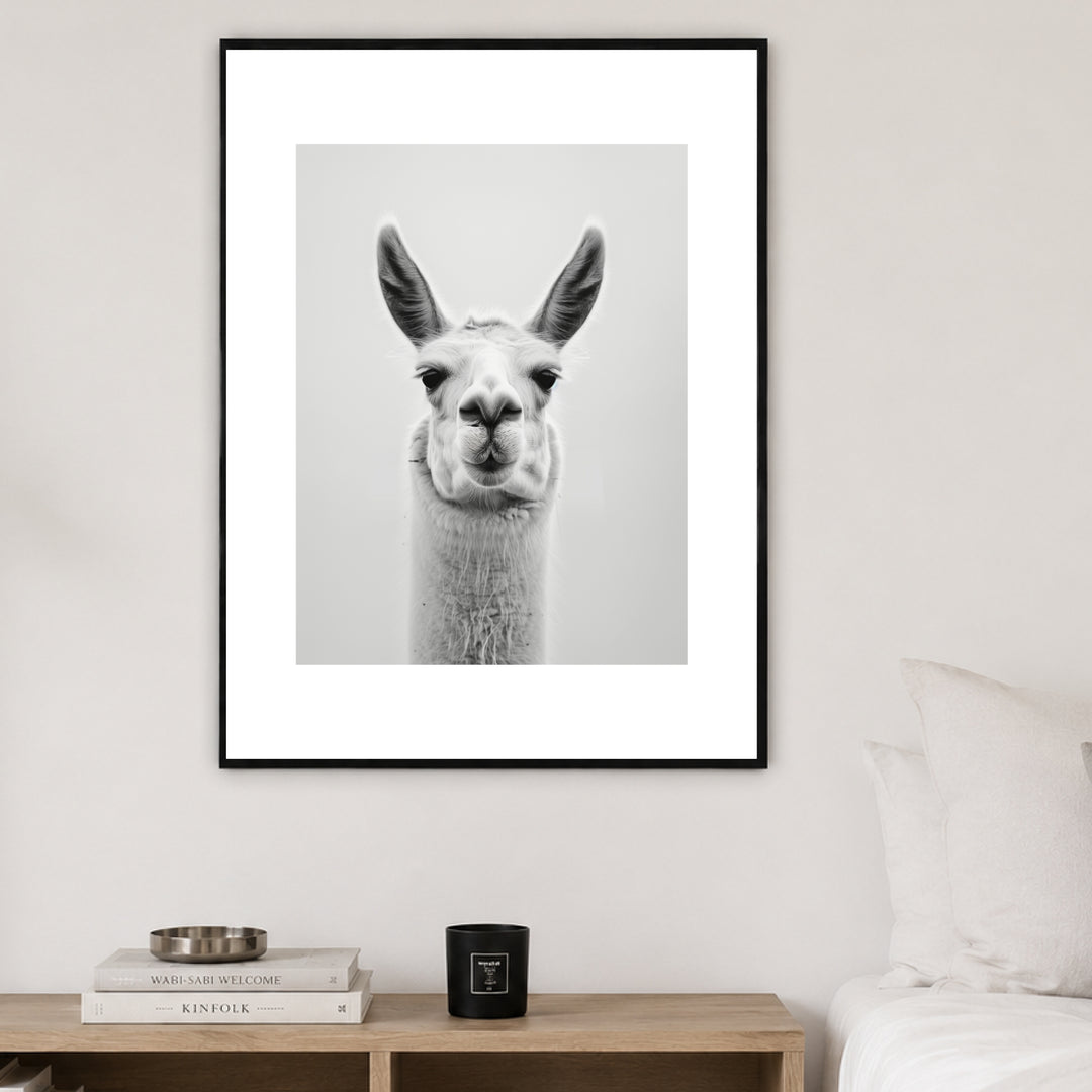 Lama Schwarzweiss Portrait Poster – Schwarzer Rahmen – Produktfoto