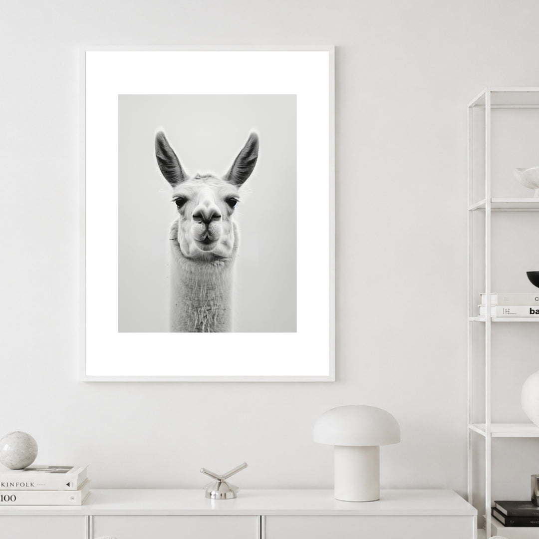 Lama Schwarzweiss Portrait Poster – Weißer Rahmen – Produktfoto
