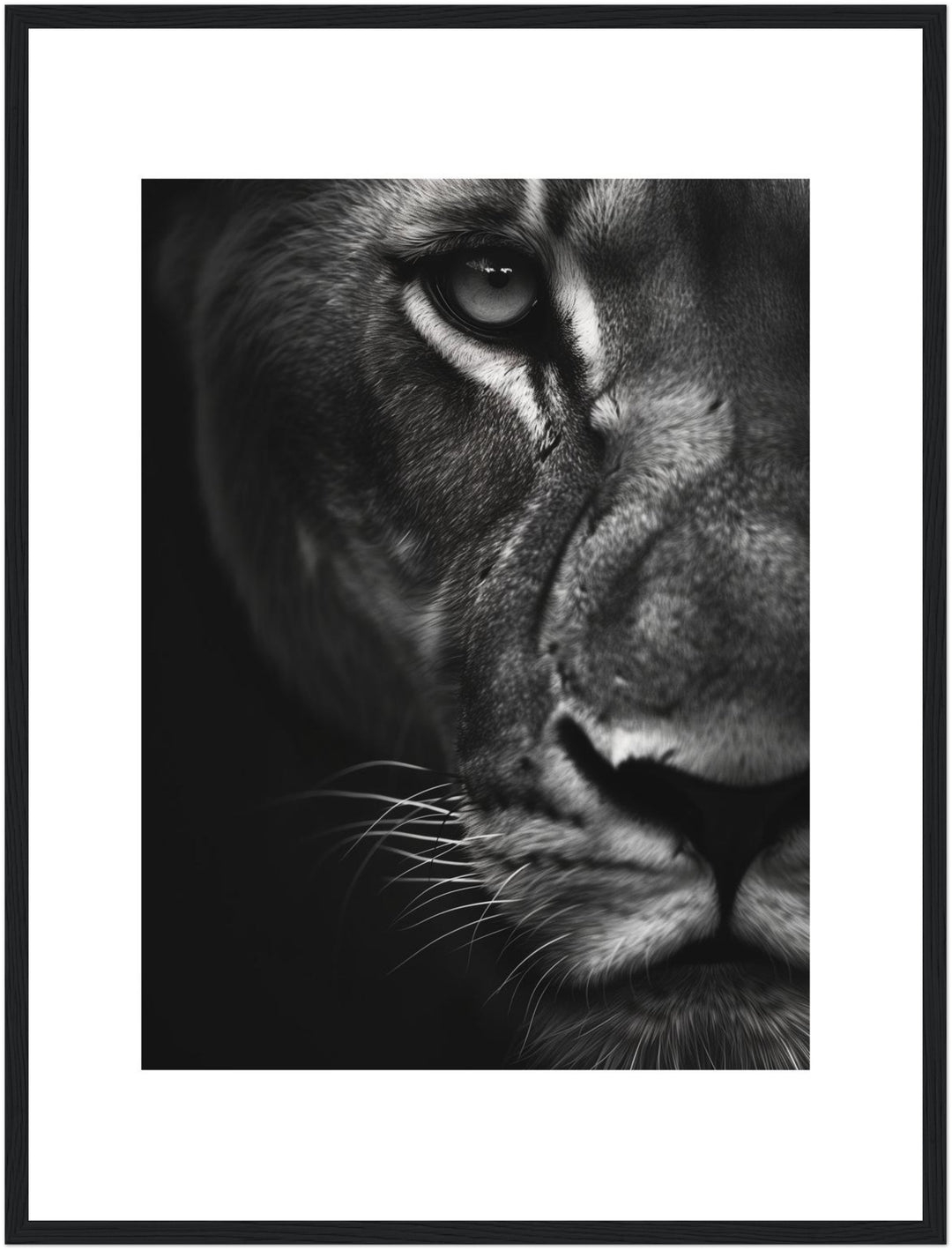 Löwenportrait Poster schwarz weiß – mattes Kunstdruck-Papier – Ansicht 5