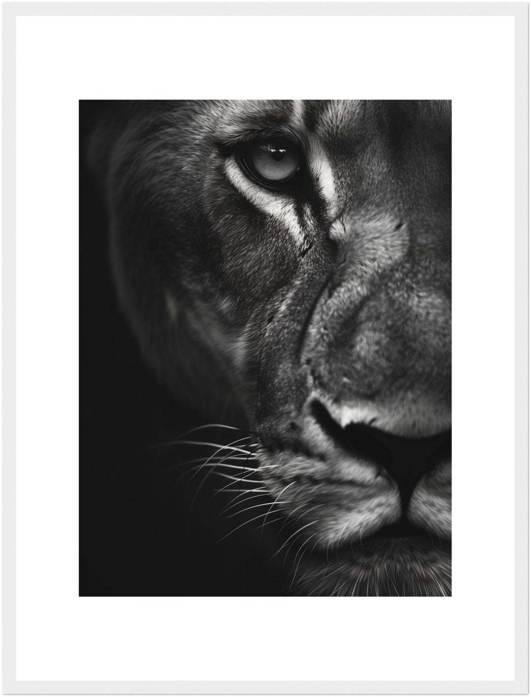 Löwenportrait Poster schwarz weiß – mattes Kunstdruck-Papier – Ansicht 6