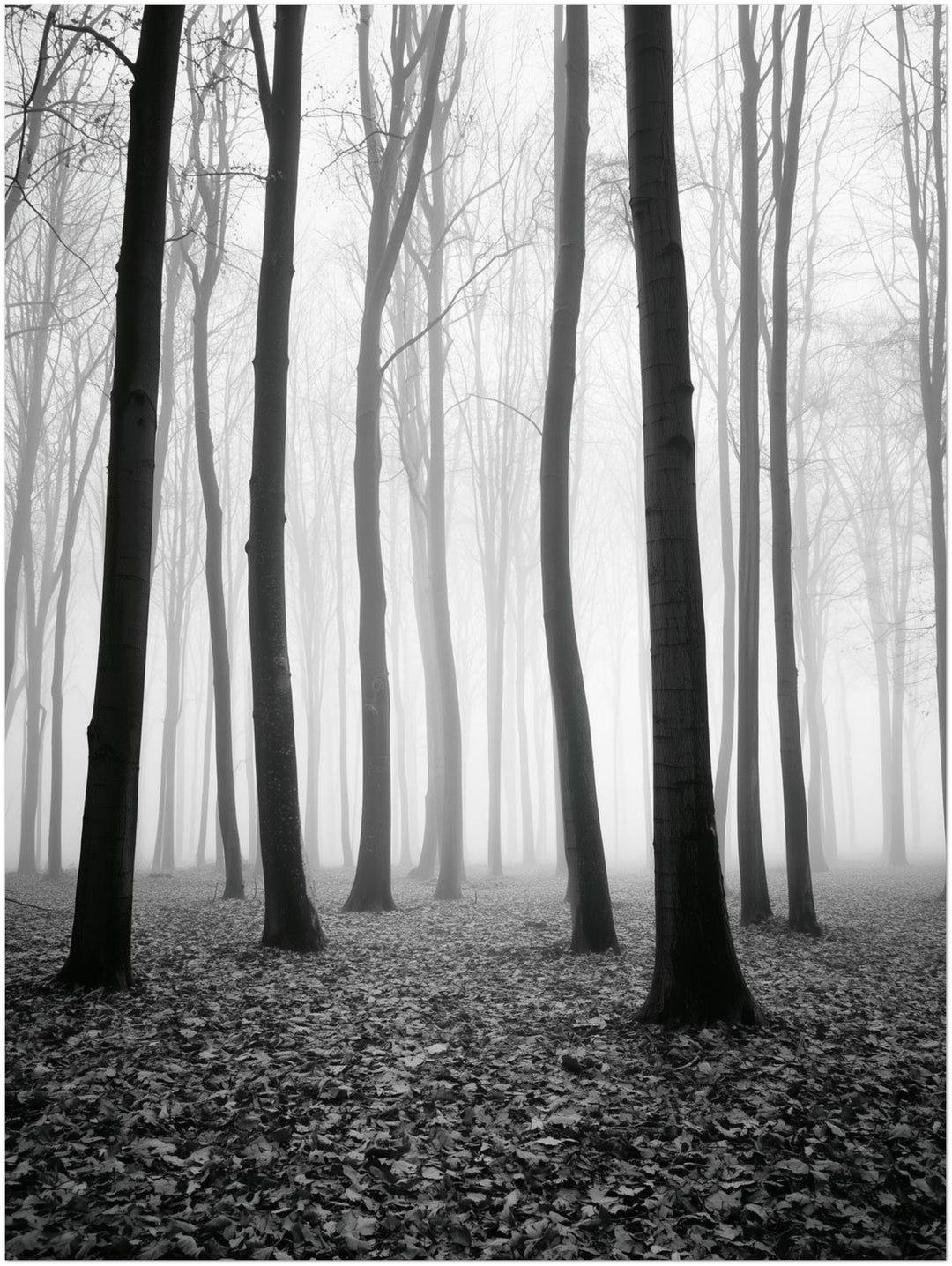 Nebel im Winterwald Poster – Ohne Rahmen – Produktfoto
