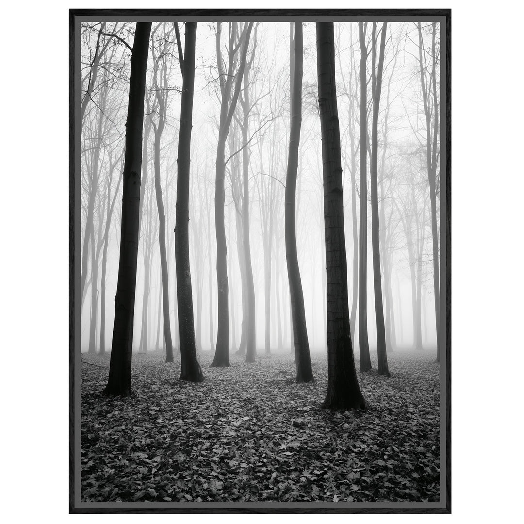 Nebel im Winterwald Leinwandbild – Leinwandbild