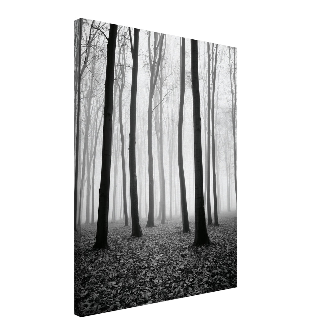 Nebel im Winterwald Leinwandbild – Schräge Ansicht – Produktfoto