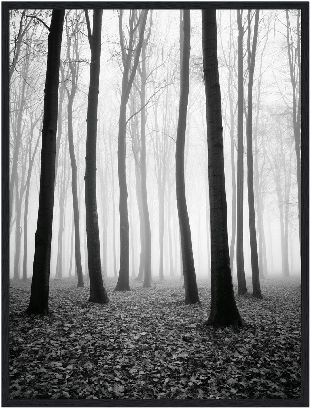 Nebel im Winterwald Poster – Schwarzer Rahmen – Produktfoto