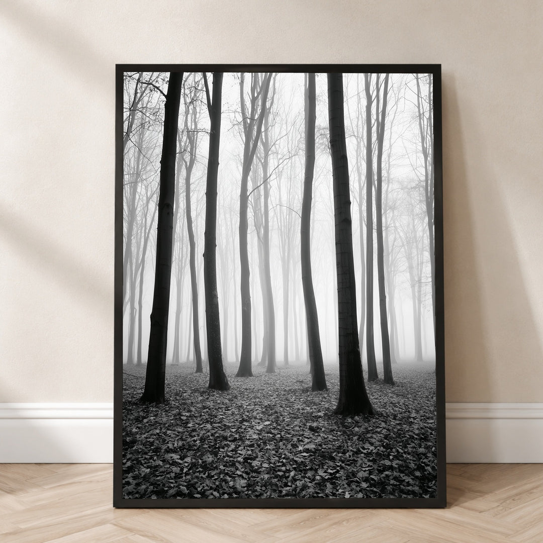 Nebel im Winterwald Poster – Schwarzer Rahmen – Produktfoto