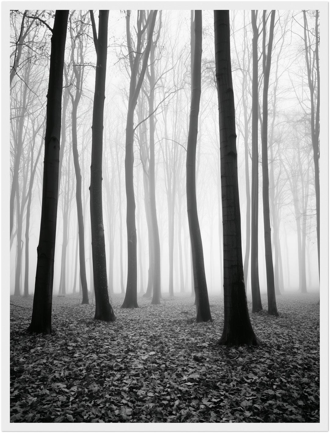 Nebel im Winterwald Poster – Weißer Rahmen – Produktfoto