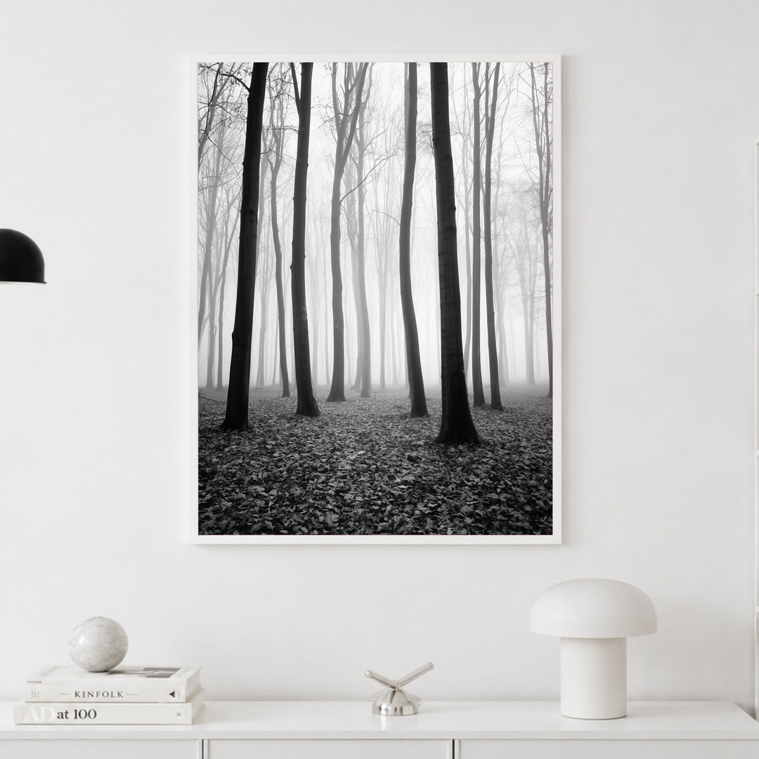 Nebel im Winterwald Poster – Weißer Rahmen – Produktfoto