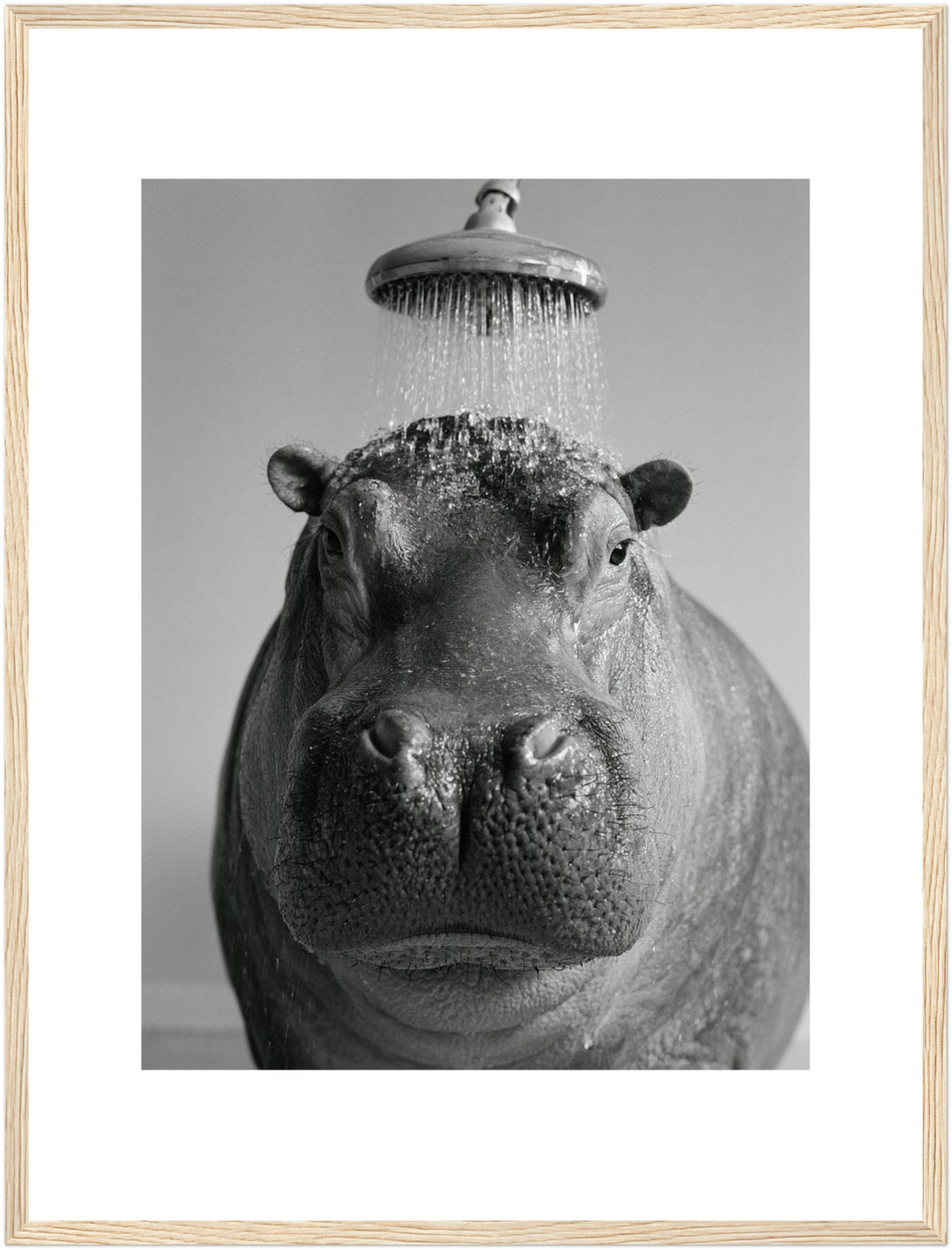Nilpferd unter der Dusche Poster – Holz natur Rahmen – Produktfoto