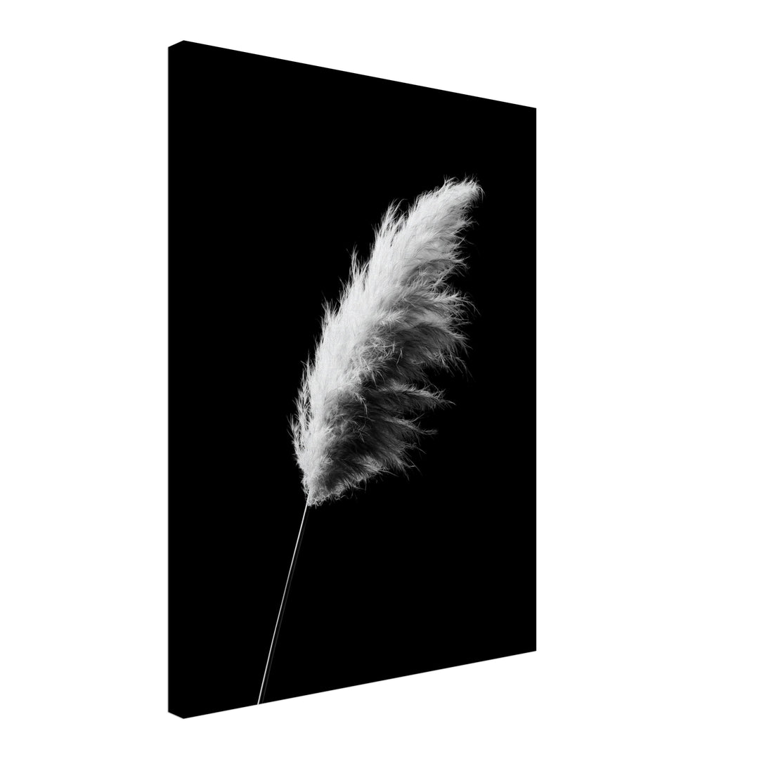 Gräser im Nachtwind Leinwandbild – Schräge Ansicht – Produktfoto