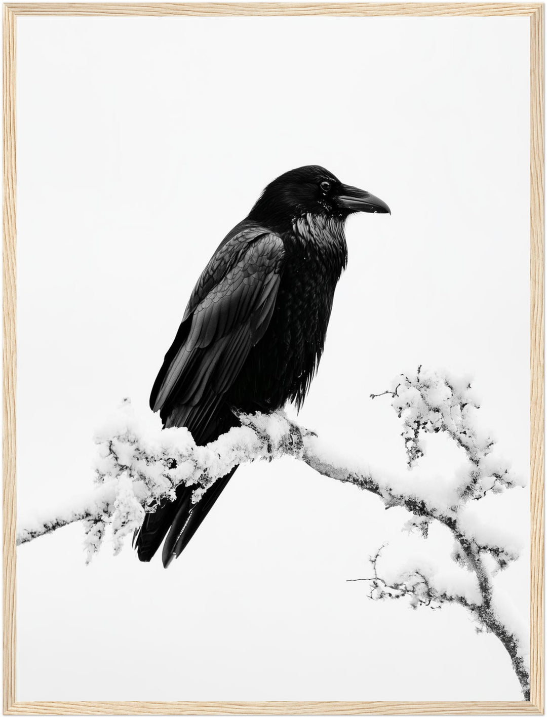 Rabe im Winterschnee Poster – Holz natur Rahmen – Produktfoto