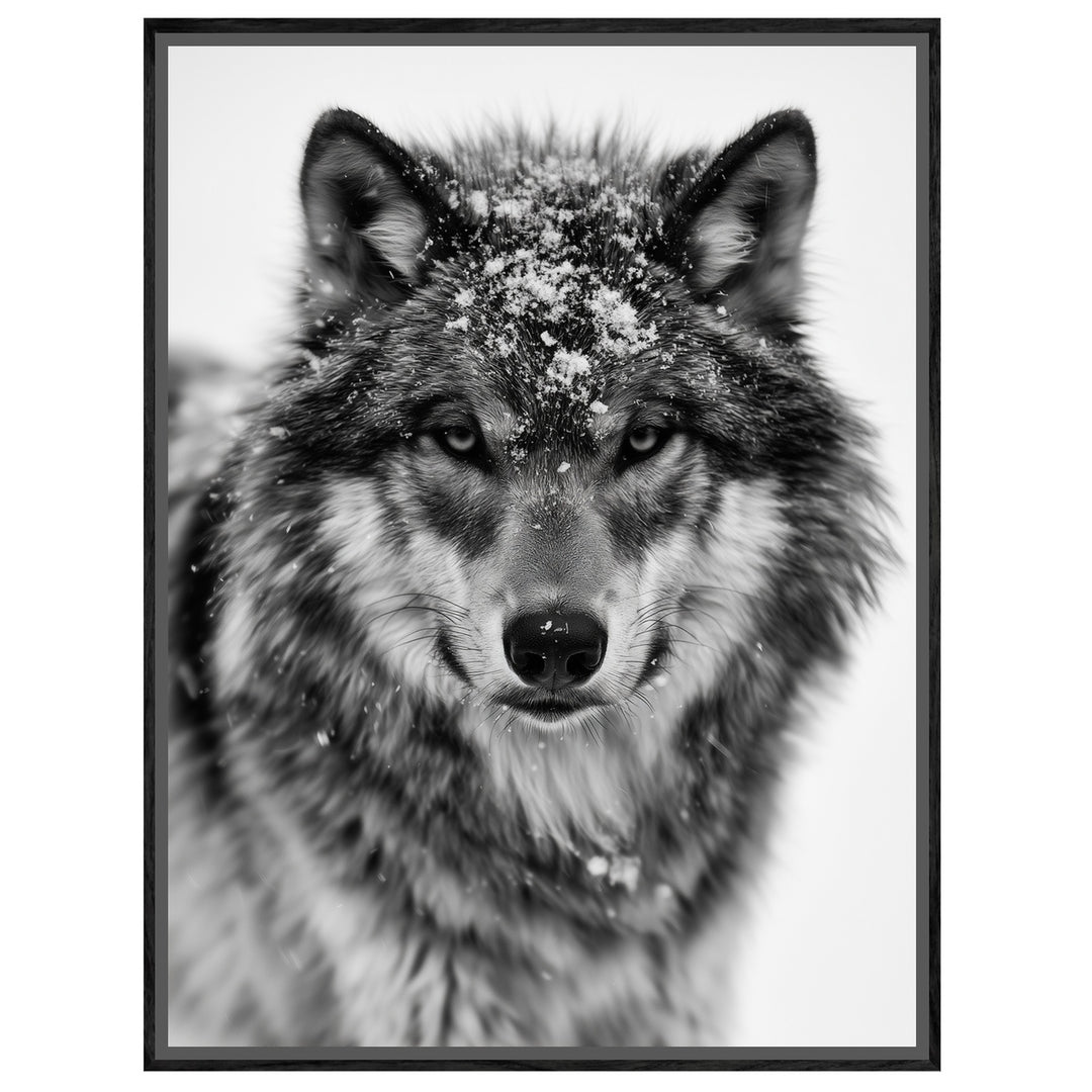 Wolf im Schneetreiben Leinwand – Leinwandbild